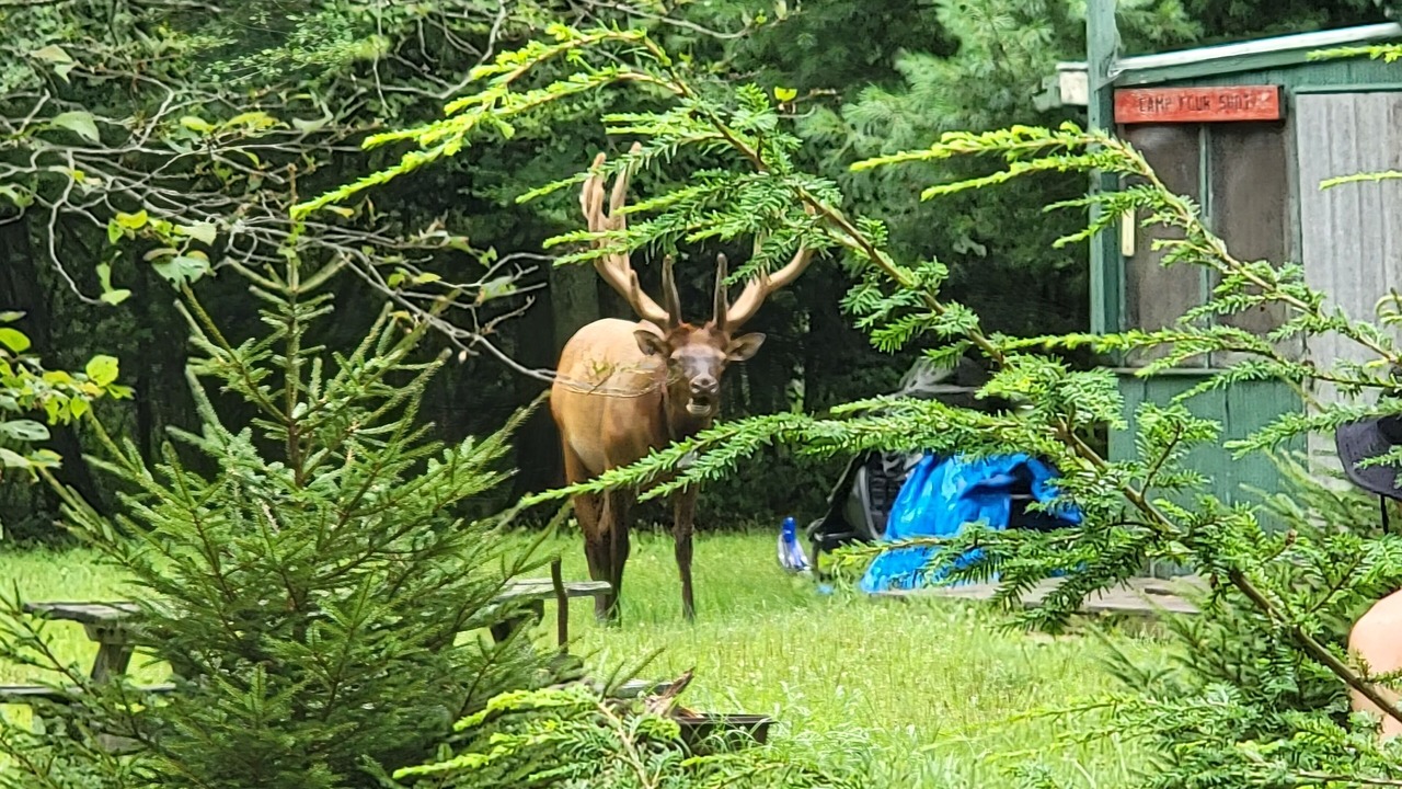 Photo of Outdoor in Hyner