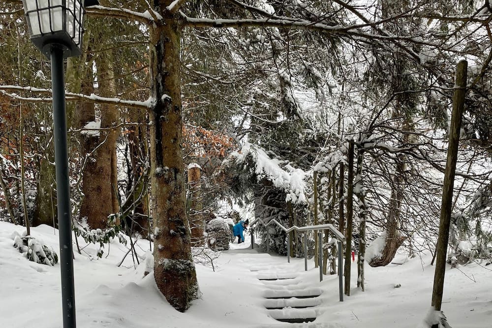 Photo of Others in Todtnauberg