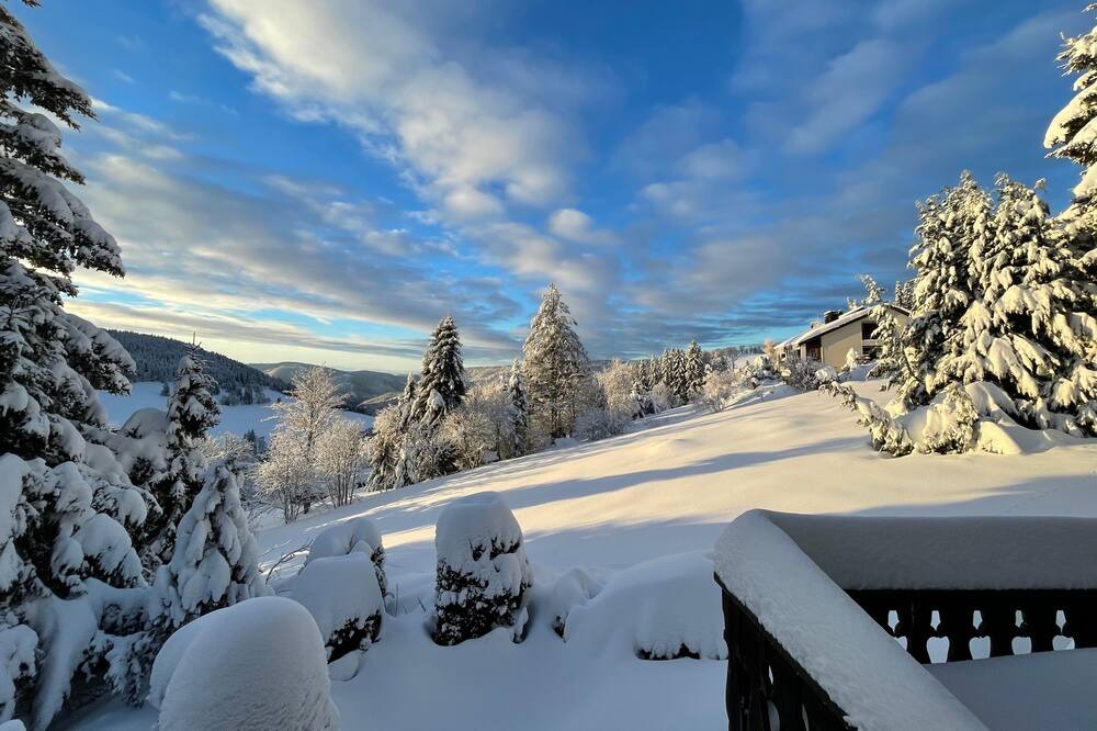 Photo of Others in Todtnauberg
