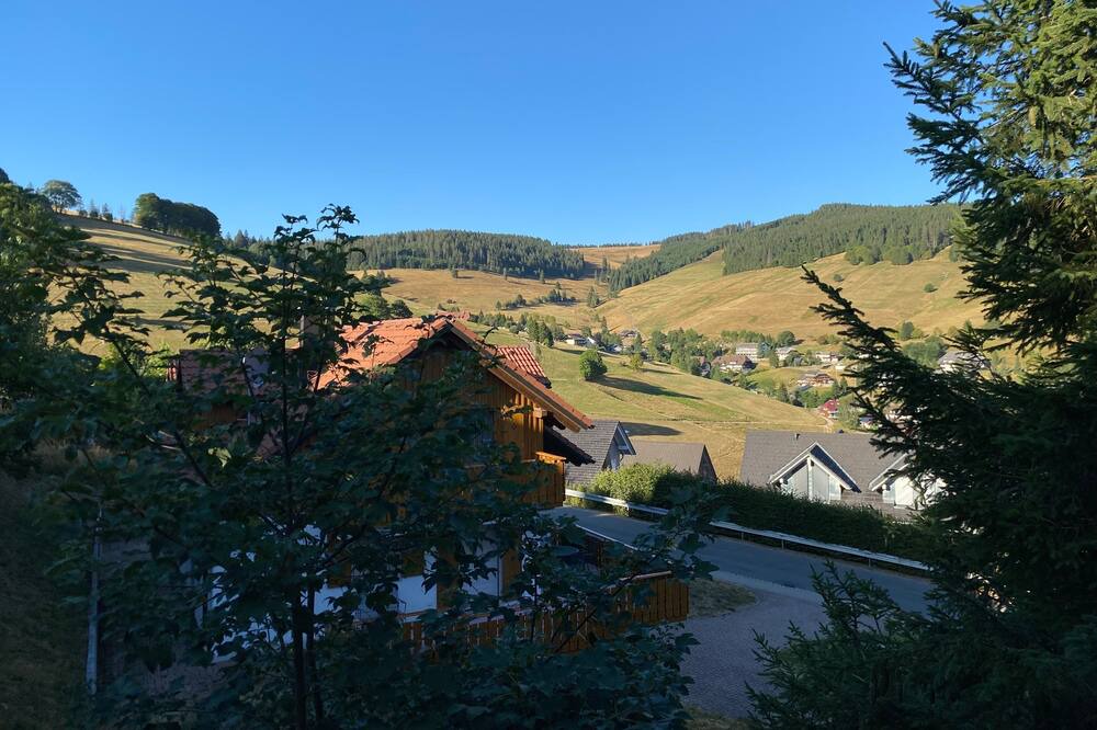 Photo of Others in Todtnauberg