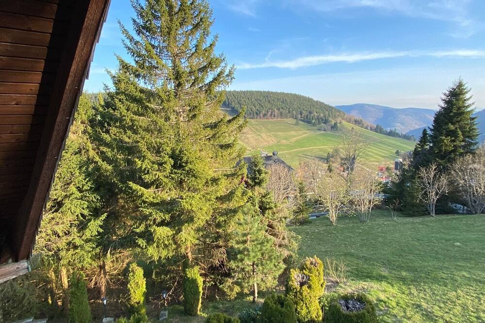 Photo of Outdoor in Todtnauberg