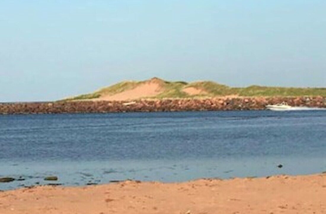 Photo of Others in Savage Harbour