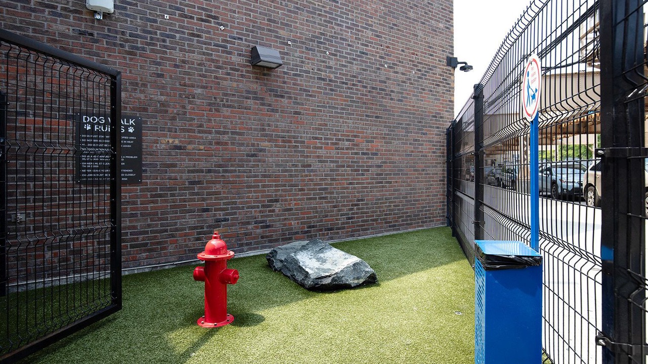 Photo of Outdoor in West Town