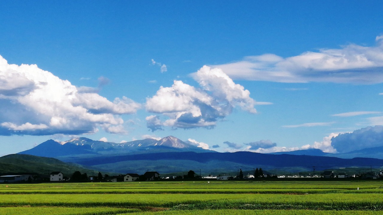 Photo of Others in Asahikawa