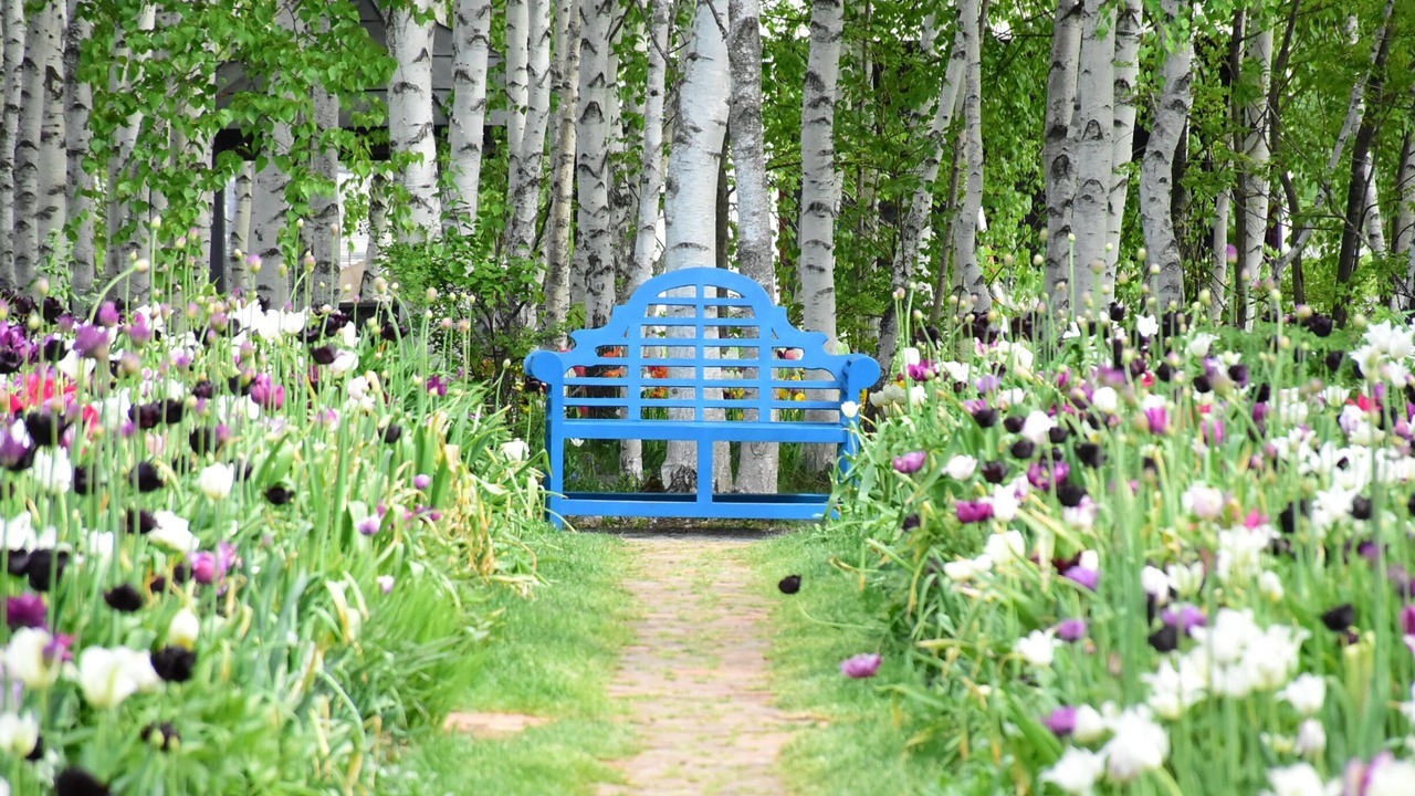 Photo of Outdoor in Asahikawa