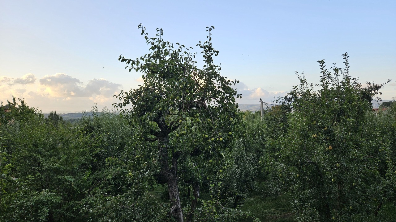 Photo of Outdoor in Masukiye