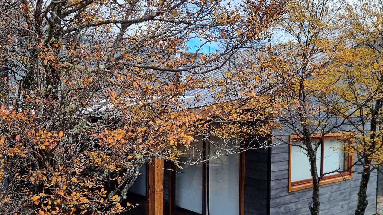 Photo of Outdoor in Pinto