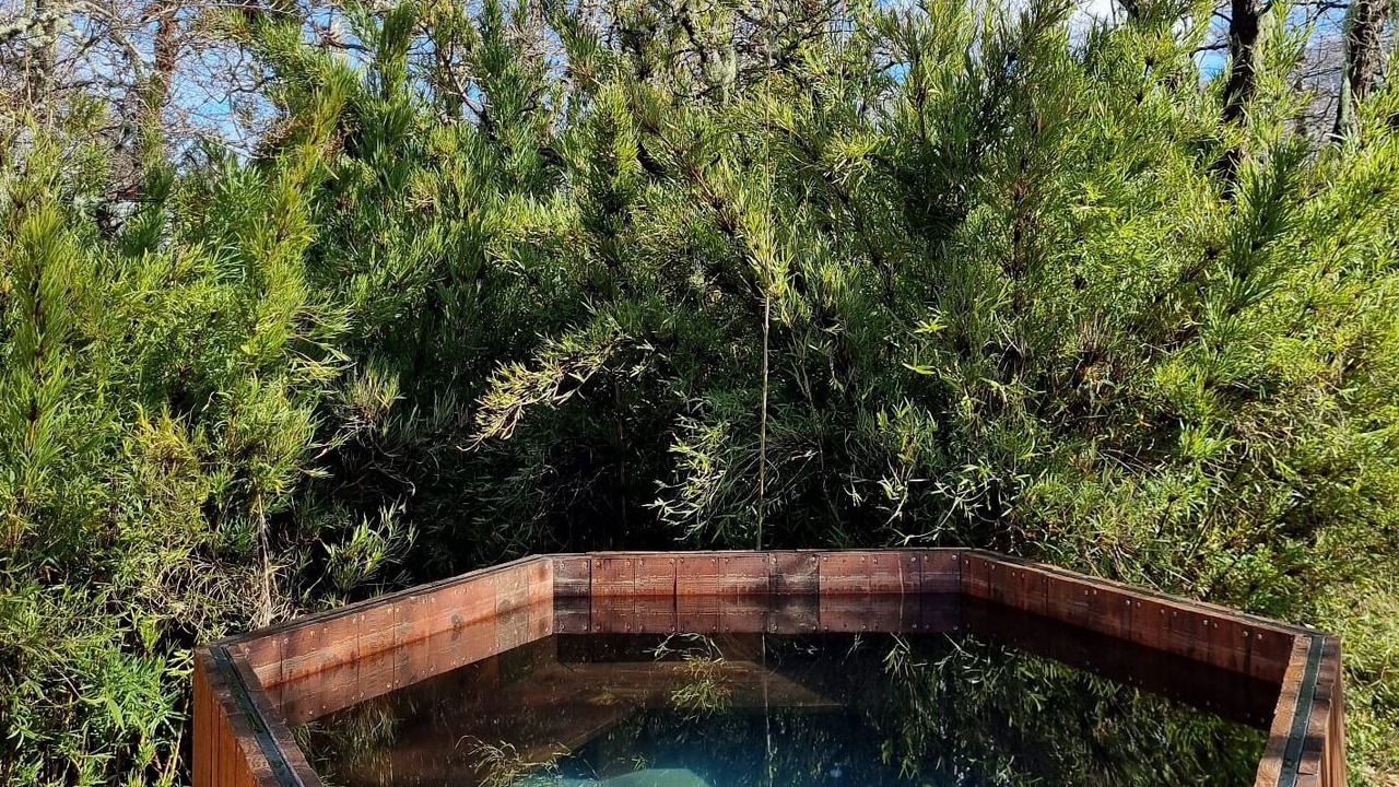 Photo of Outdoor in Pinto