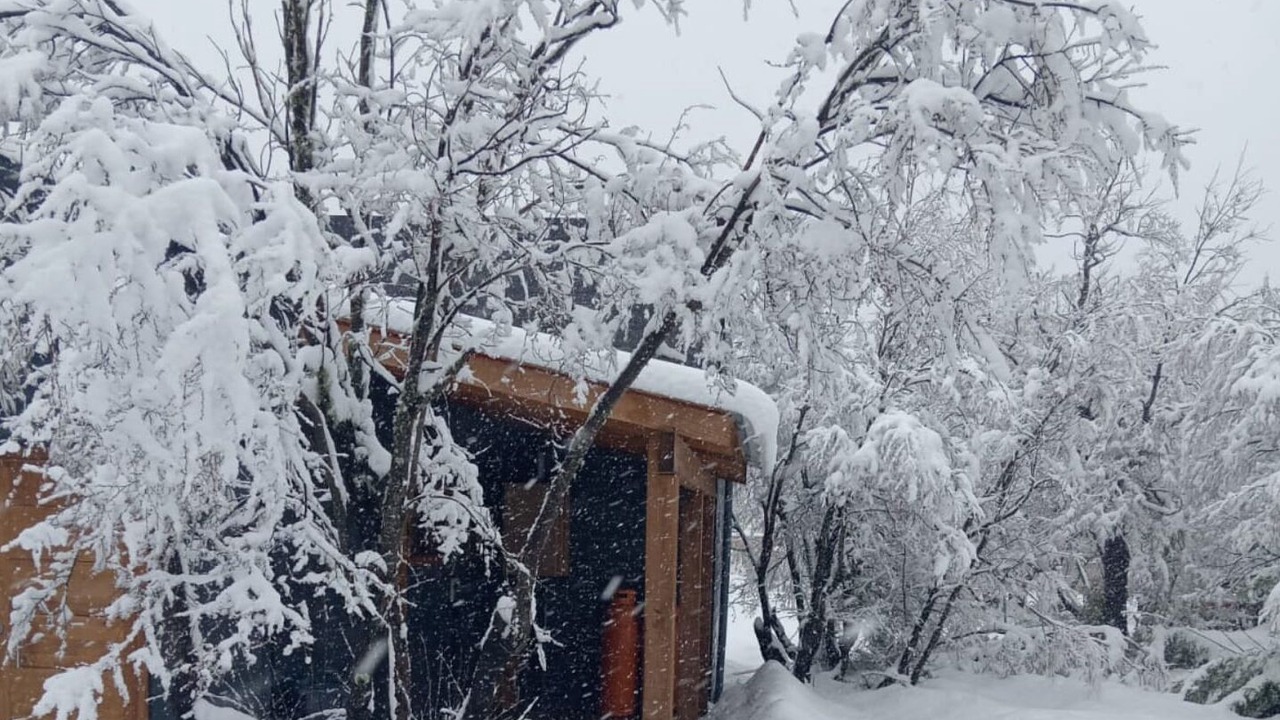 Photo of Outdoor in Pinto