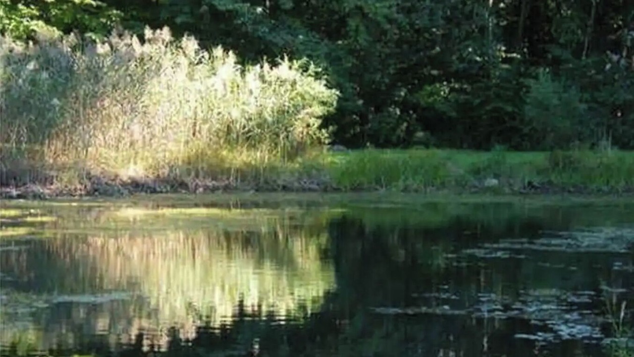 Photo of Outdoor in Deep River