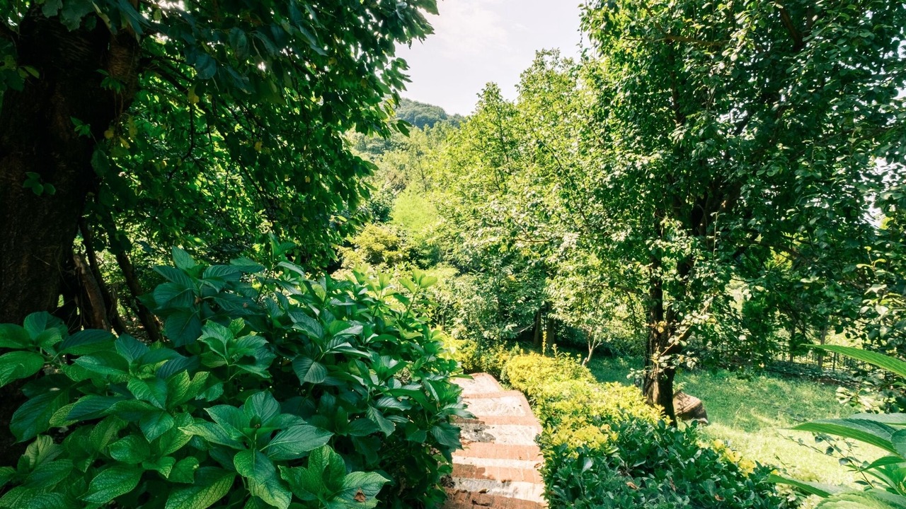 Photo of Outdoor in Derbent