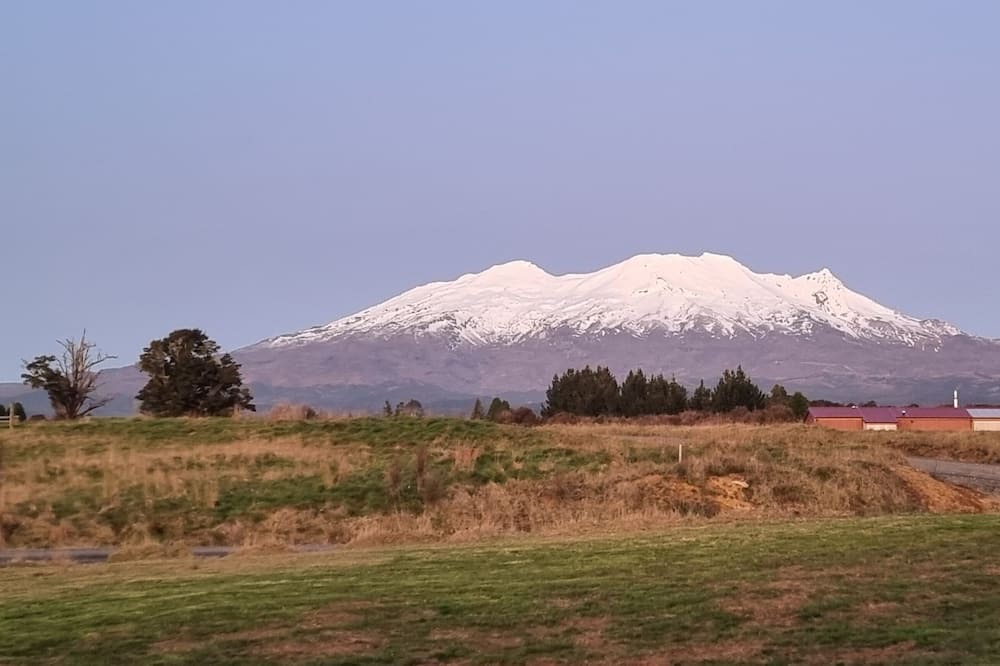 Photo of Outdoor in Horopito