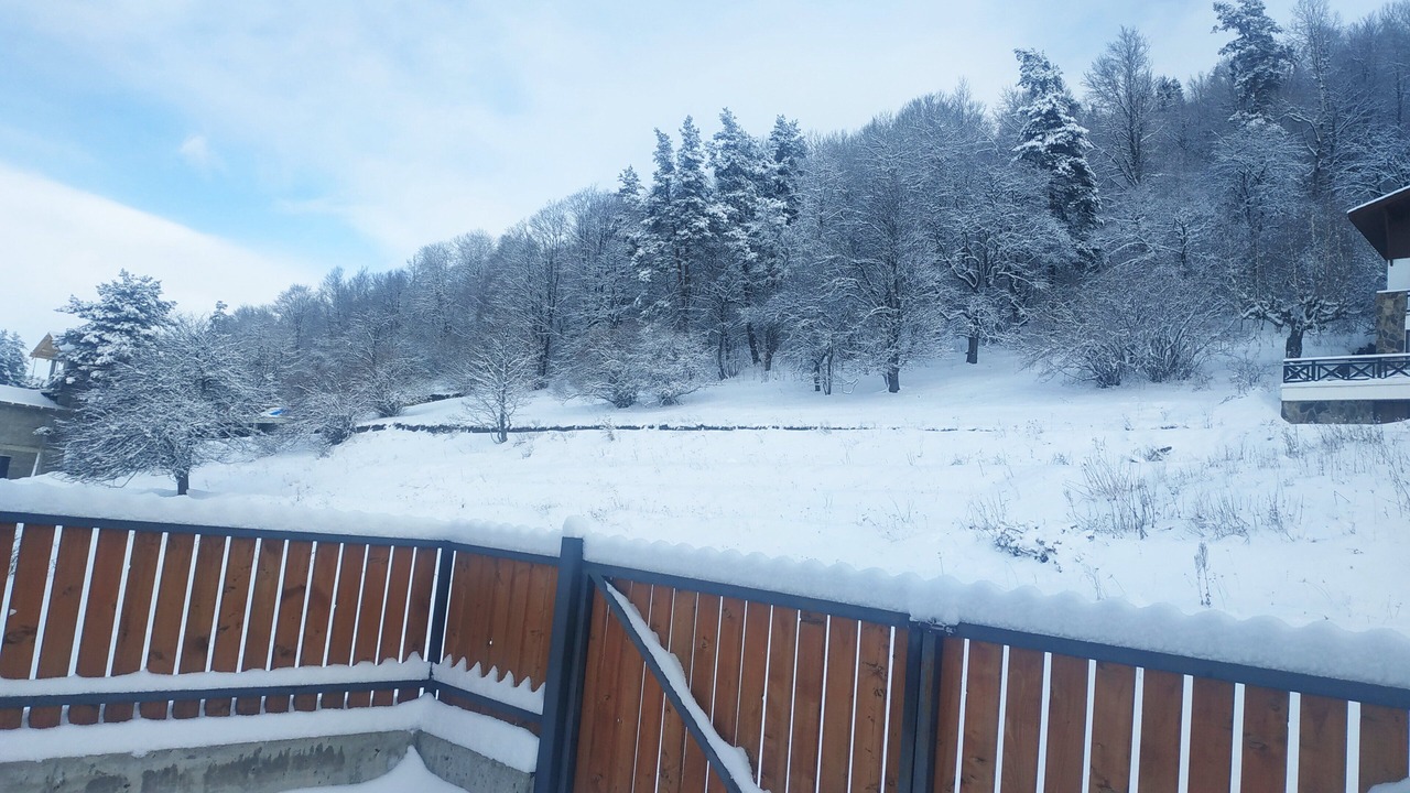 Photo of Outdoor in Bakuriani