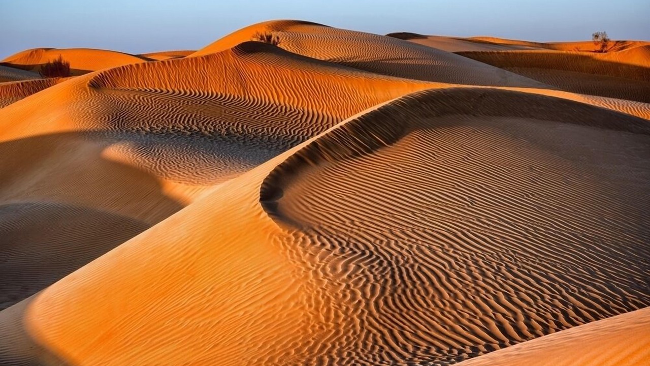 Photo of Others in Madinat Zayed