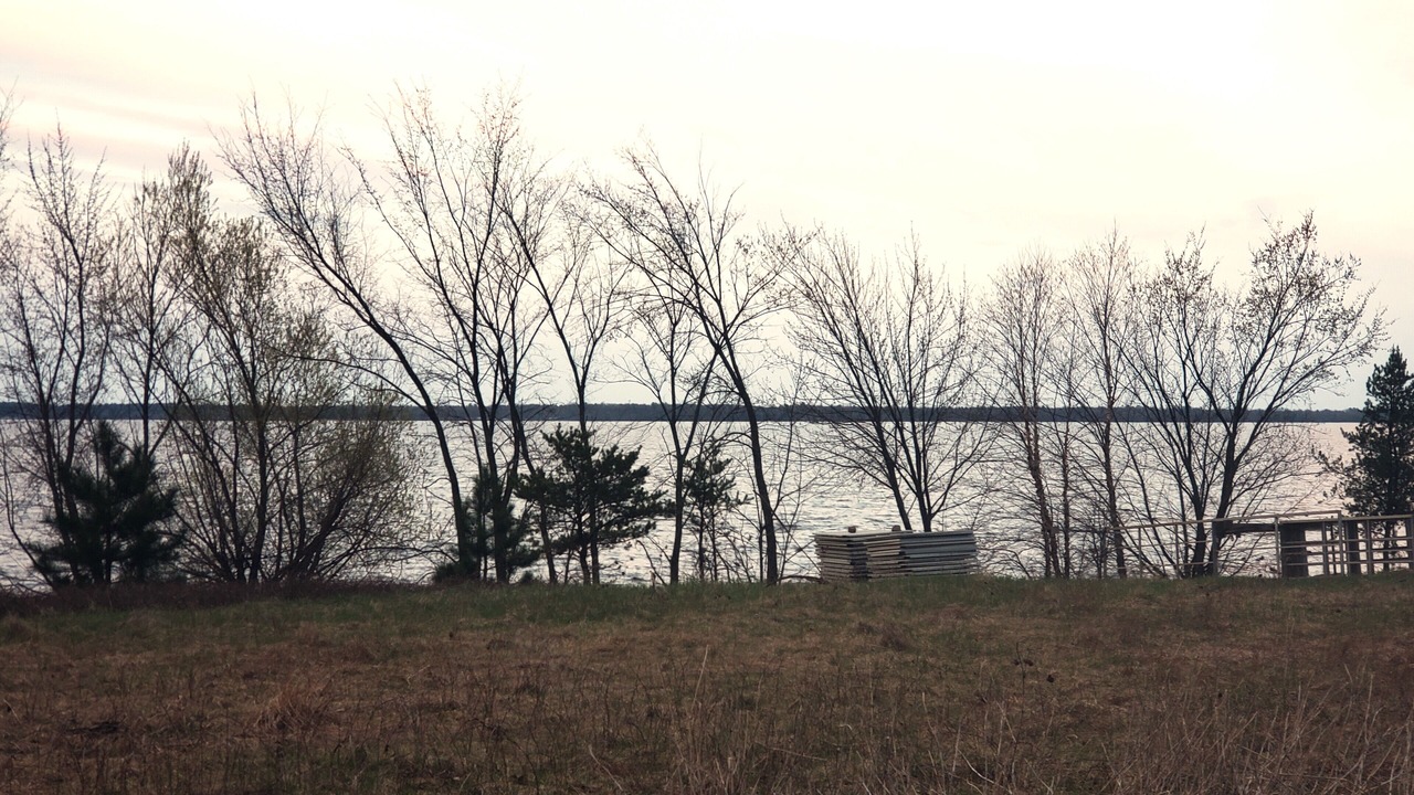 Photo of Others in Big Bay