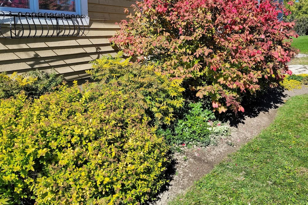 Photo of Outdoor in Saint-Denis-sur-Richelieu