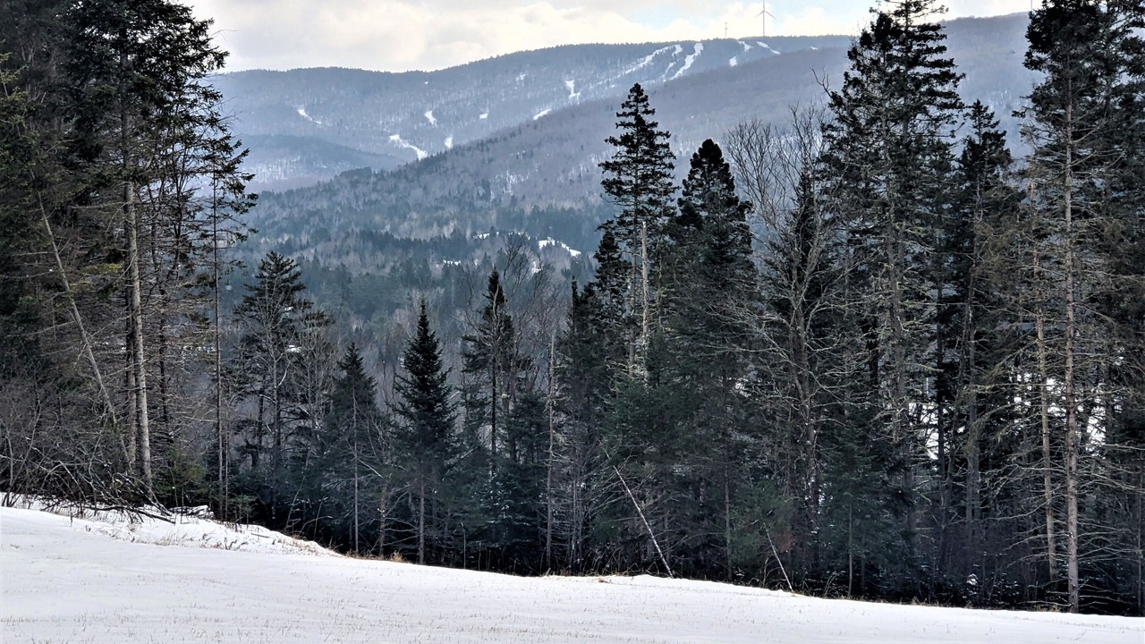 Photo of Outdoor in Colebrook