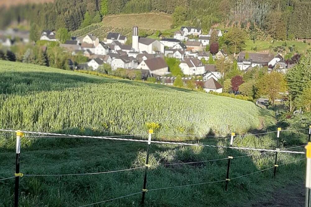 Photo of Others in Heringhausen
