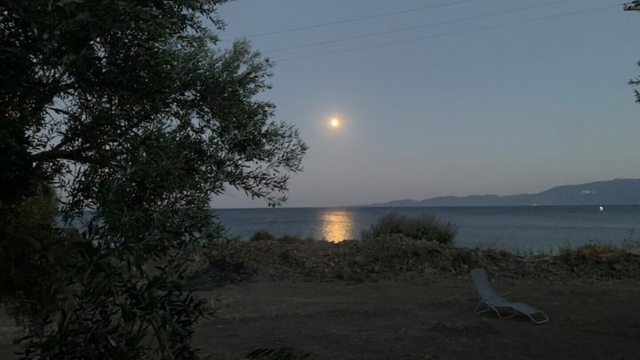 Photo of Outdoor in Ayvacik