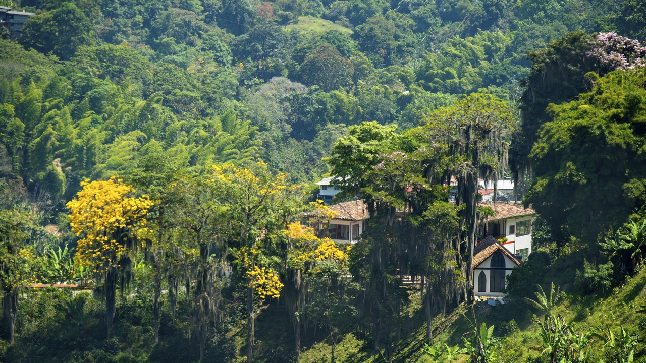 Photo of Others in Manizales