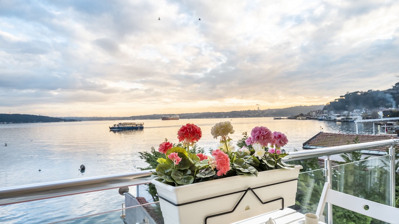 Photo of Outdoor in Sariyer