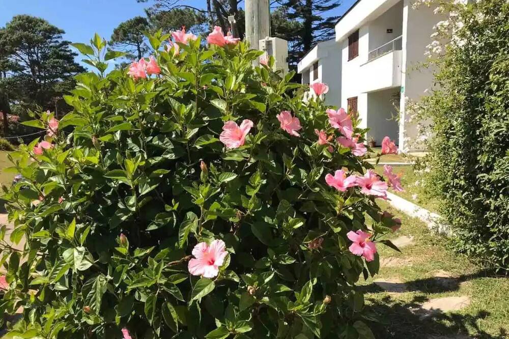 Photo of Outdoor in Cantegril