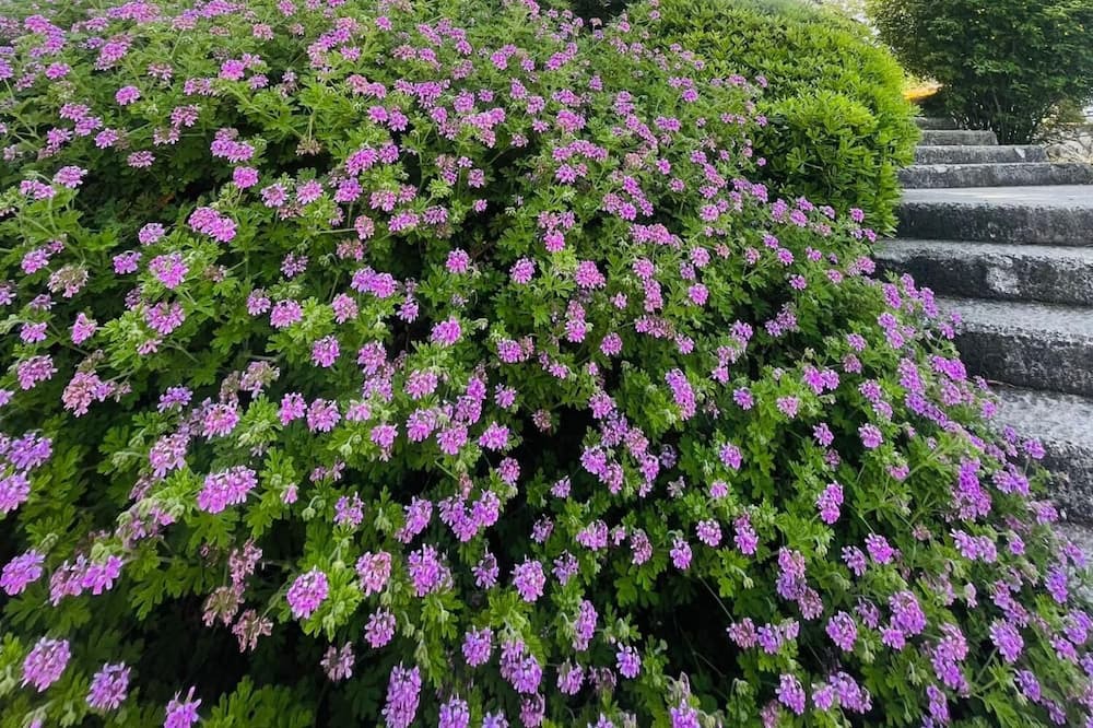 Photo of Outdoor in Ildır Koyu