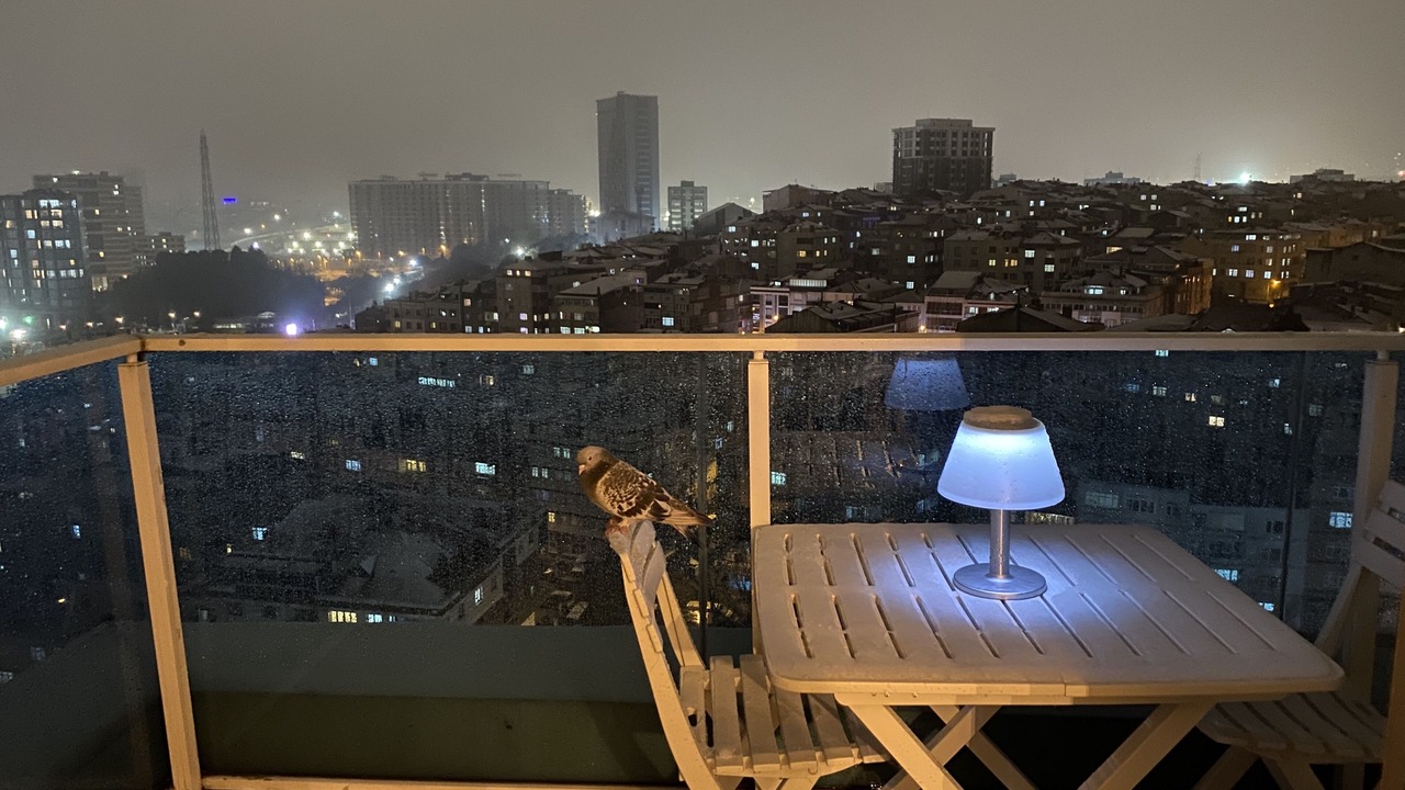 Photo of Outdoor in Bayrampasa