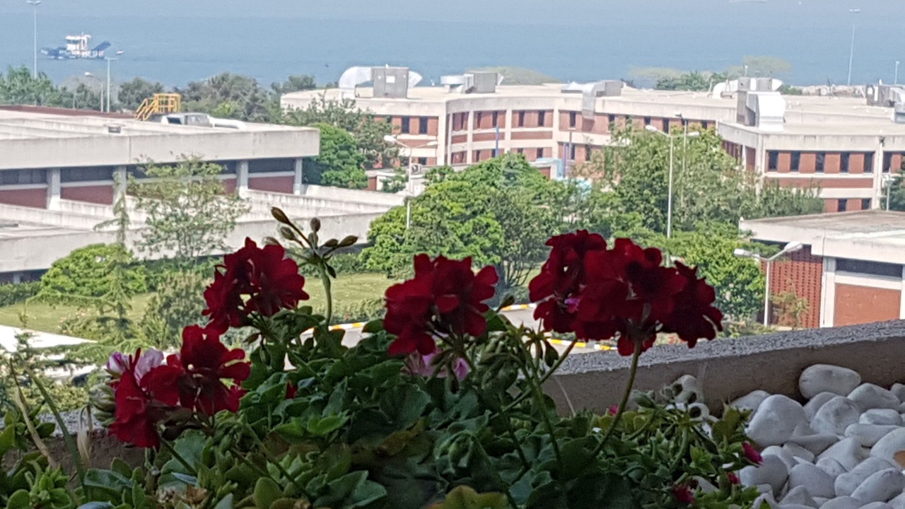 Photo of Outdoor in Moda