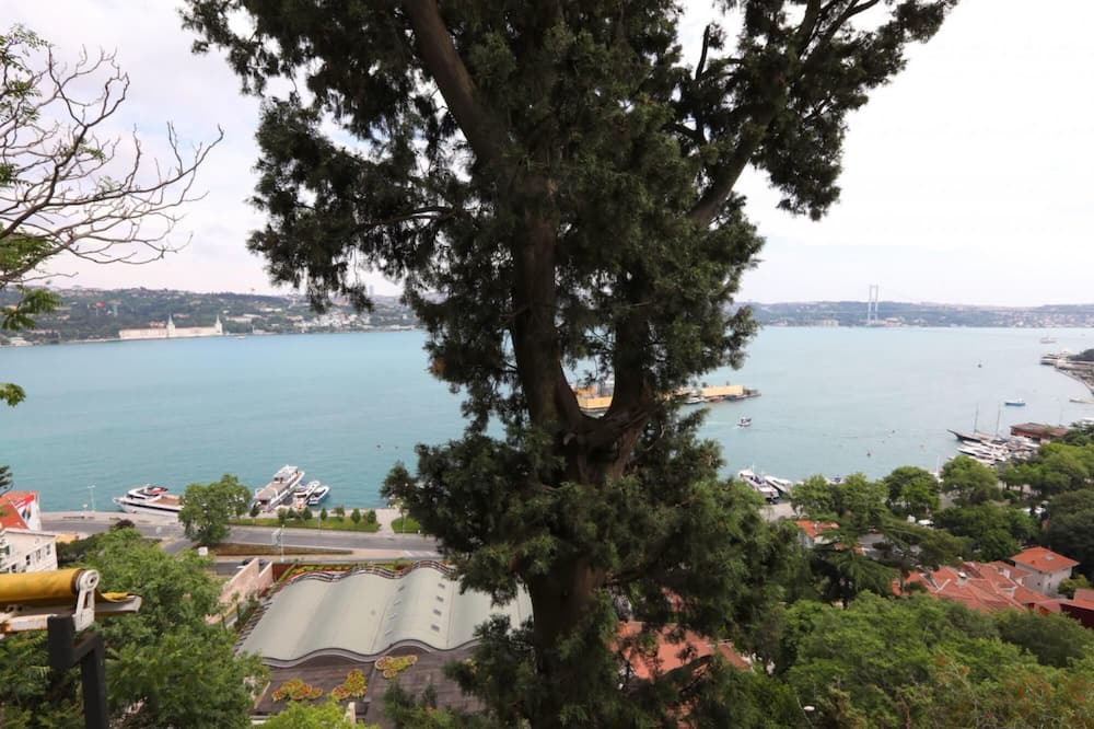 Photo of Others in Kurucesme