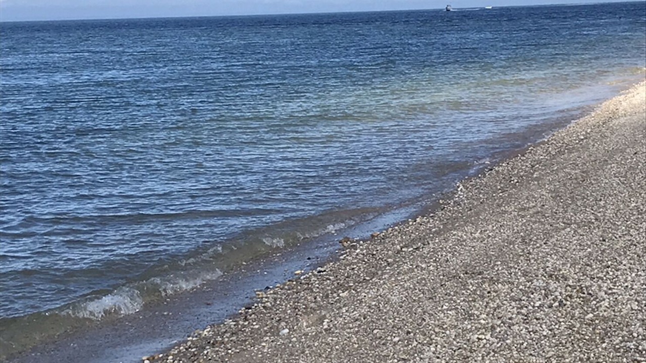 Photo of Others in Mattituck