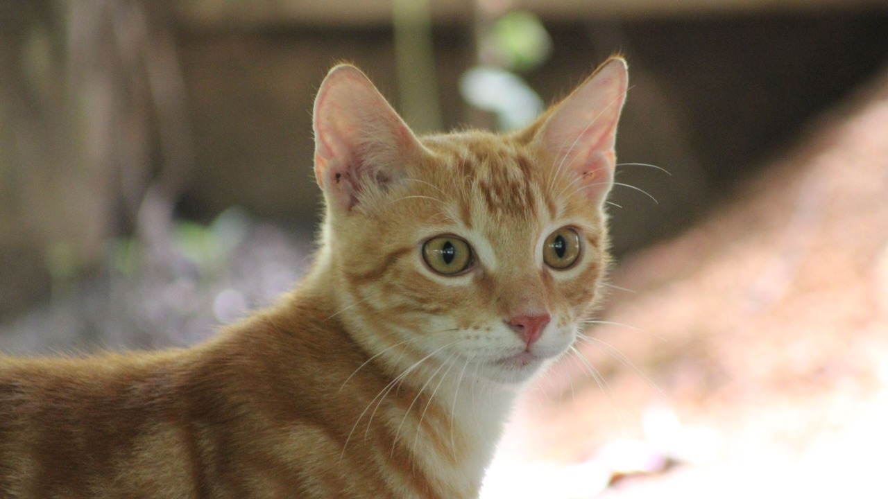 Photo of Outdoor in Santa Marta