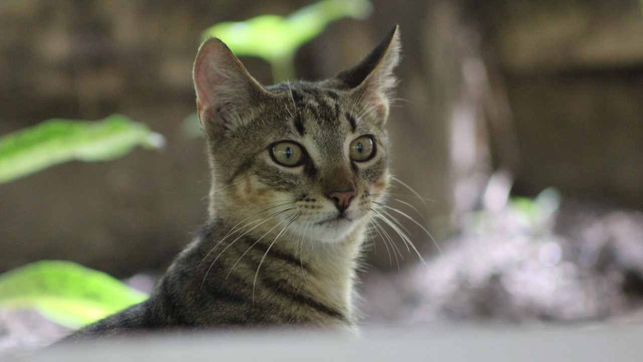 Photo of Outdoor in Santa Marta
