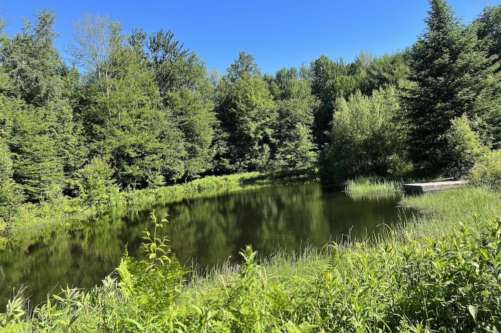 Photo of Others in Bromont