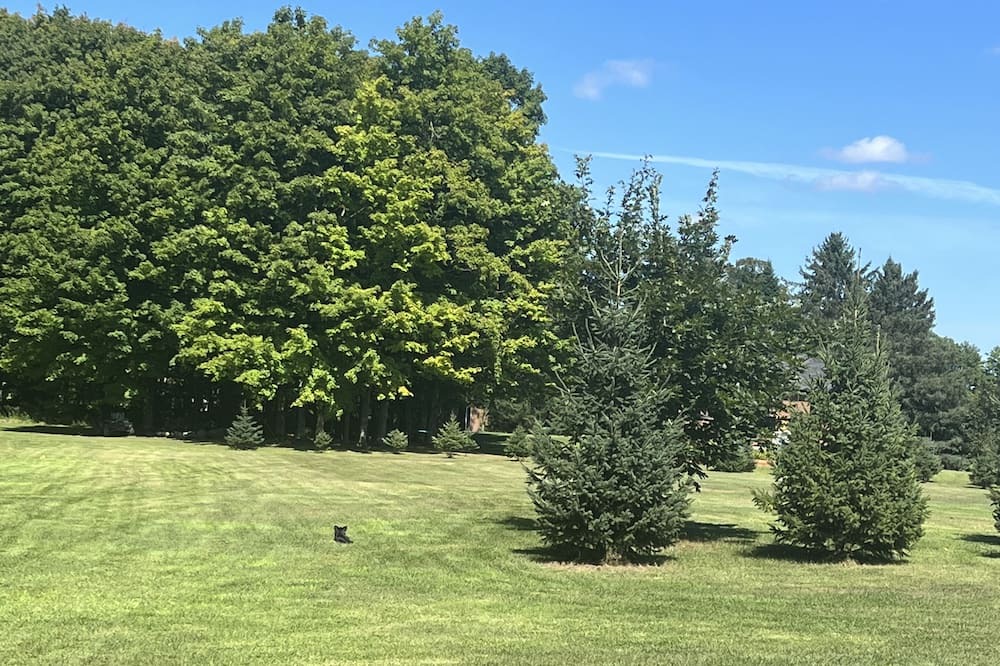 Photo of Others in Bromont