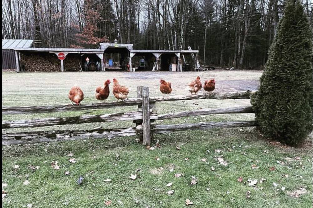 Photo of Others in Bromont