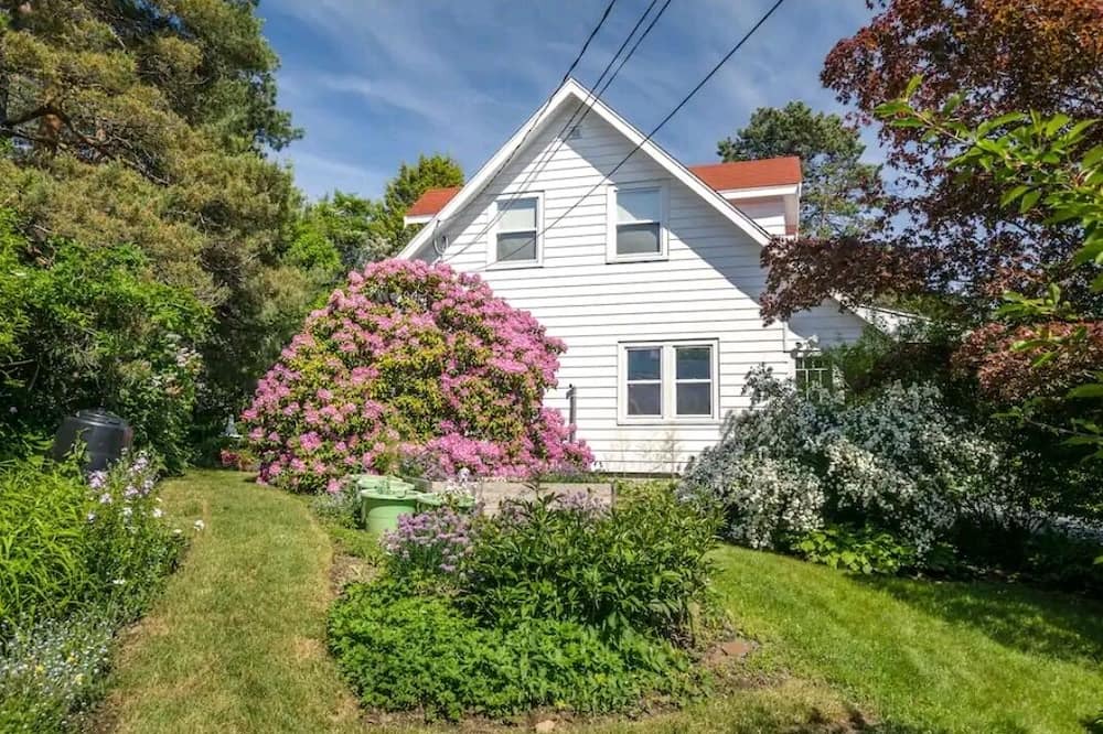 Photo of Outdoor in South End
