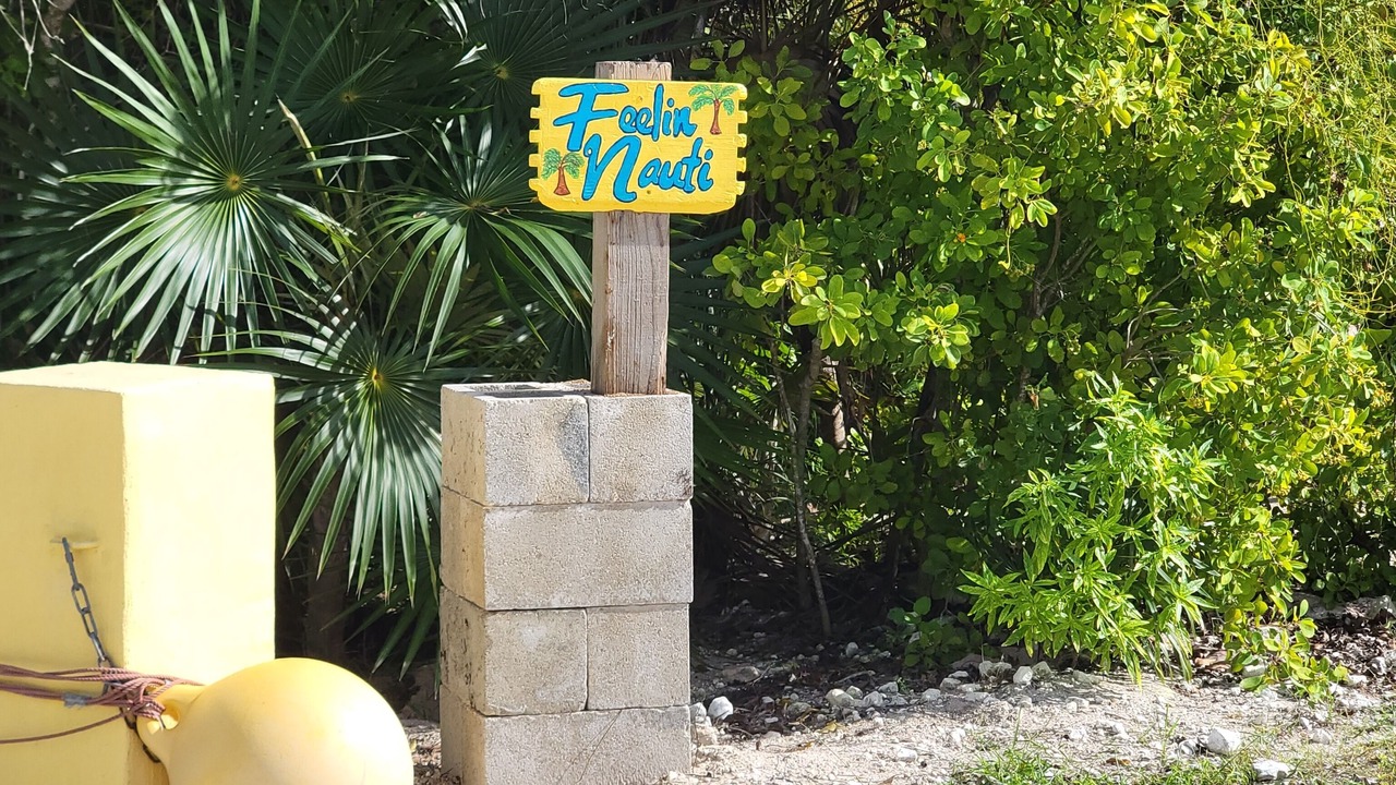 Photo of Outdoor in Port Howe