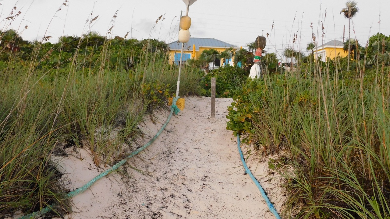 Photo of Outdoor in Port Howe