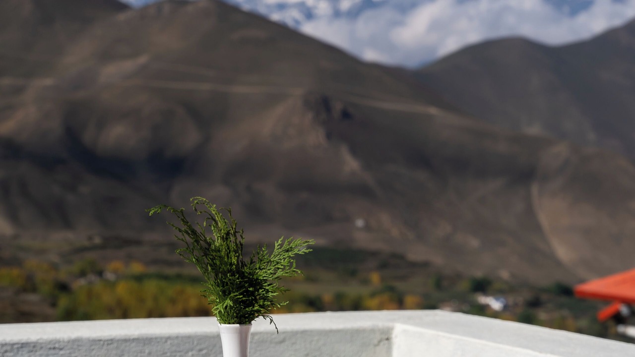 Photo of Others in Mustang