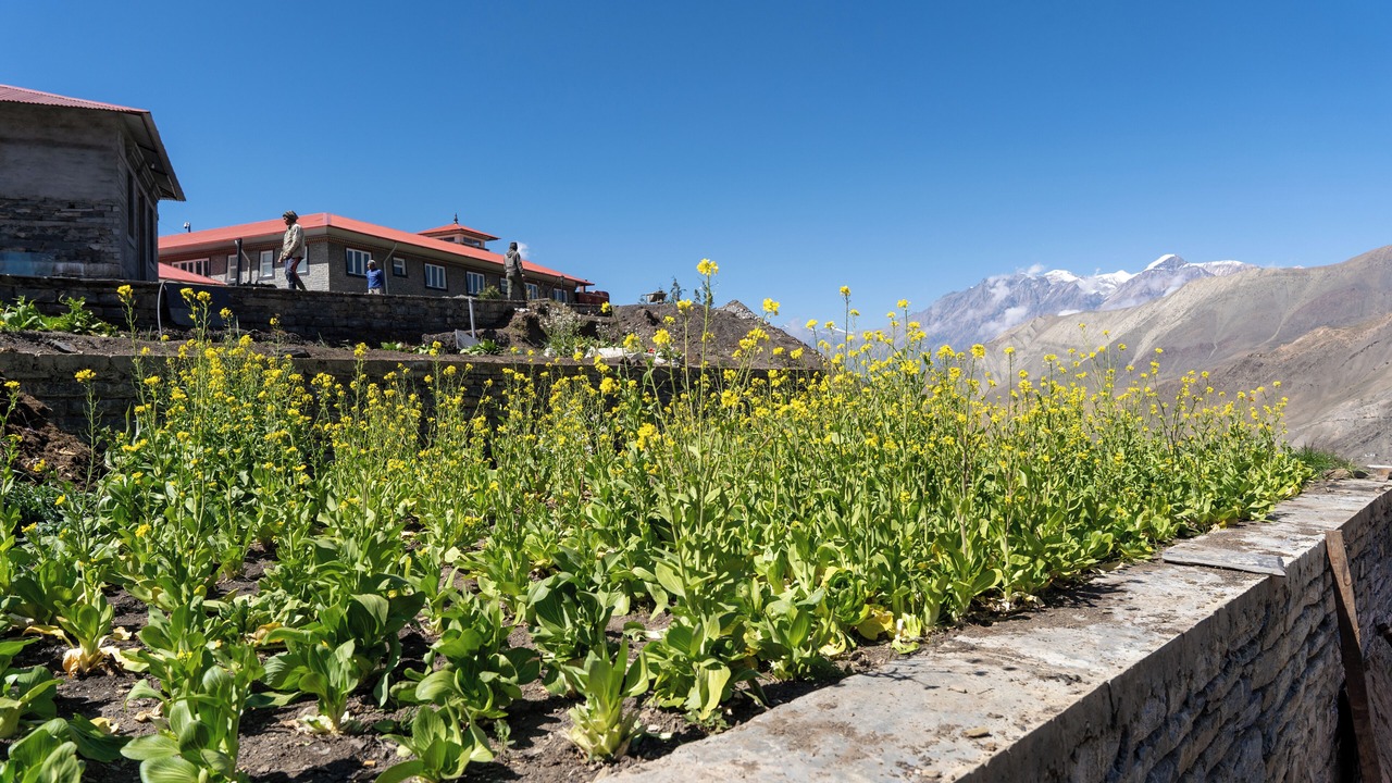 Photo of Outdoor in Mustang