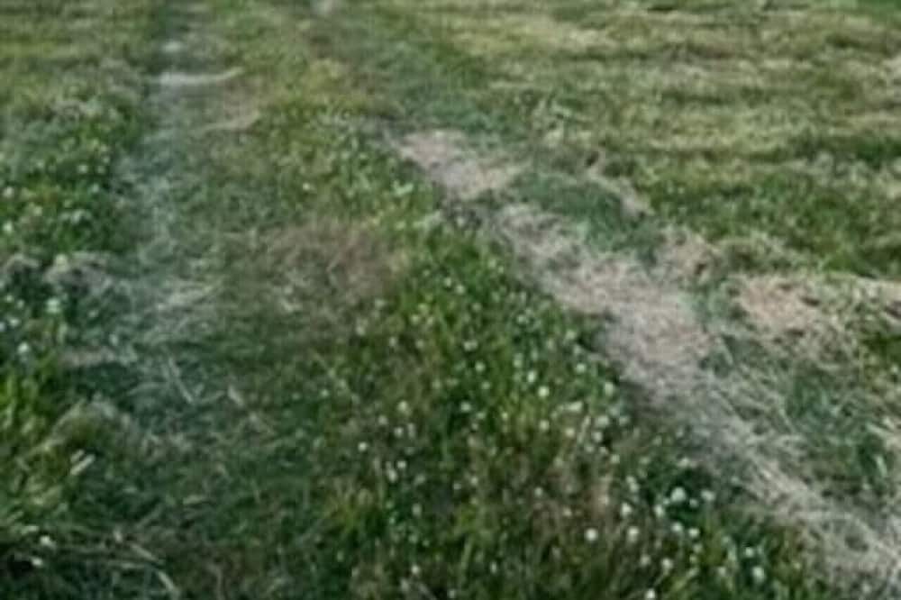 Photo of Others in Souris
