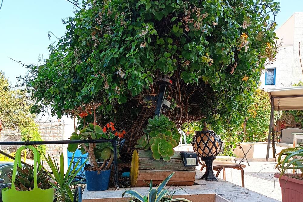 Photo of Patio Balcony in Bethlehem