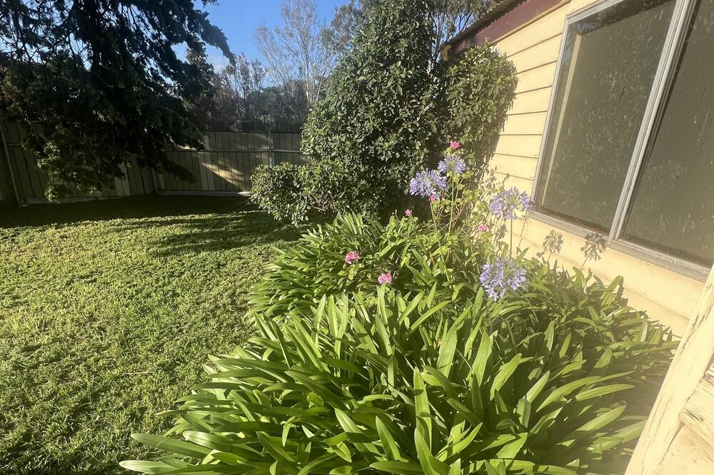 Photo of Outdoor in Limonite