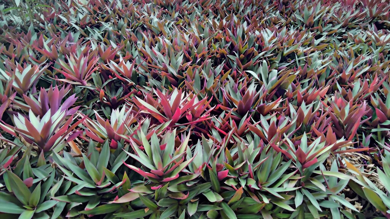 Photo of Outdoor in Nungua