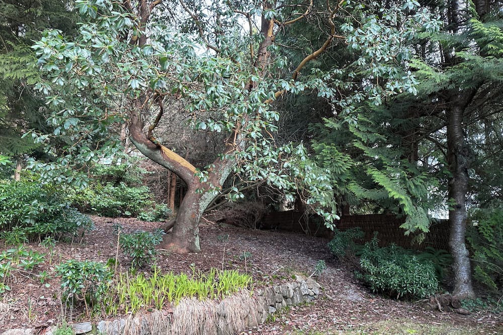 Photo of Outdoor in West Vancouver