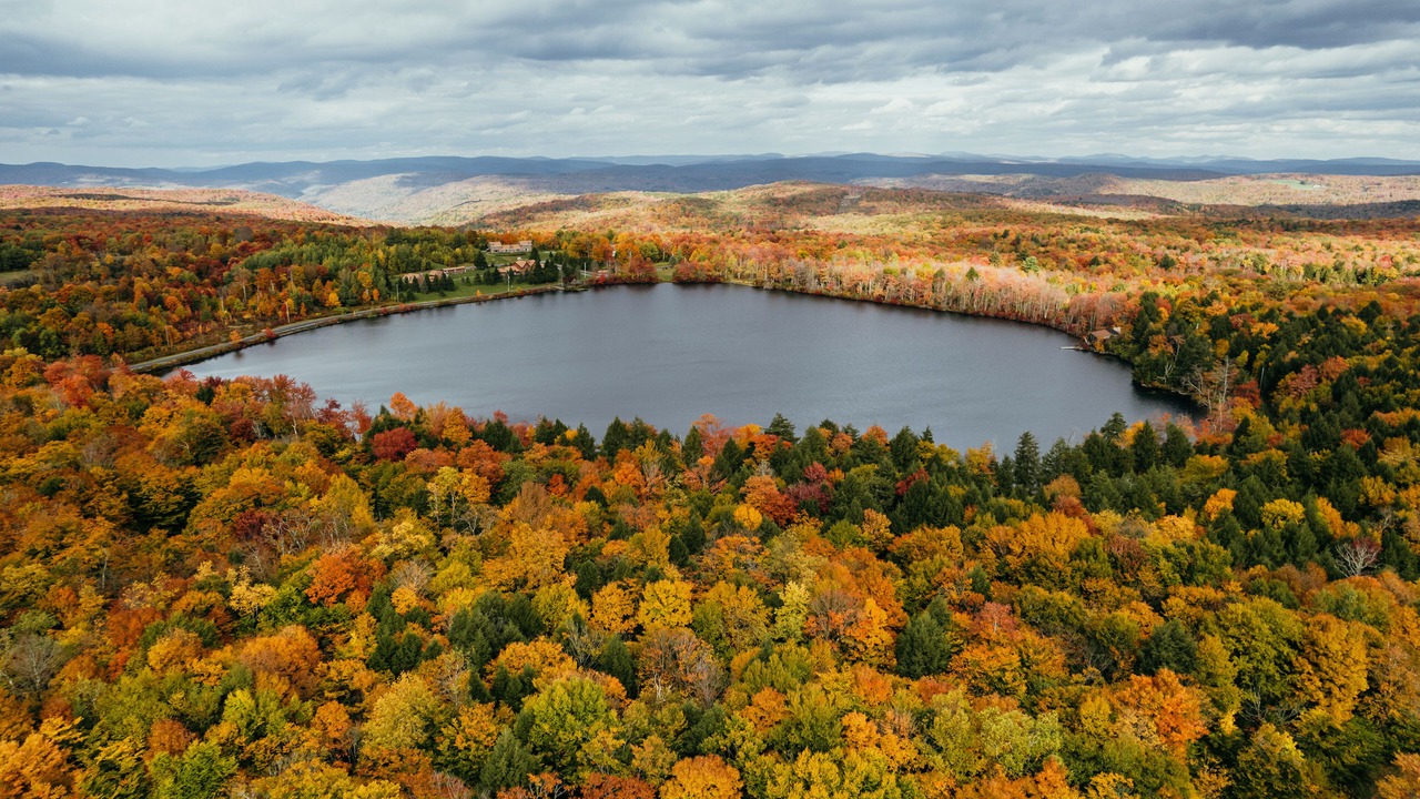 Photo of Outdoor in Roscoe