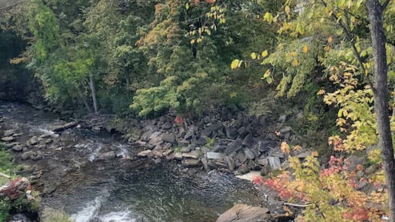 Photo of Outdoor in Brandon