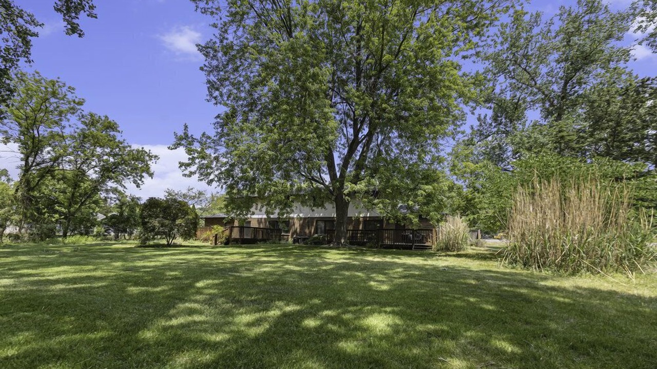 Photo of Outdoor in Forest Hills