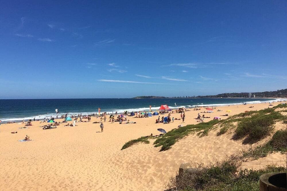 Photo of Others in Narrabeen